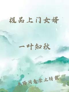 极品上门女婿