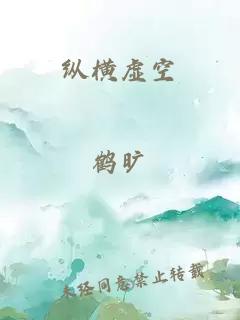 纵横虚空